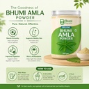 bhumi-amla-powder-for-eating-300g-71XA6yJTQLL.jpg