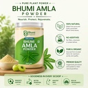 bhumi-amla-powder-for-eating-300g-71g5BL3u4nL.jpg