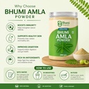 bhumi-amla-powder-for-eating-300g-71L4rspeN9L.jpg