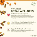 ayuzera-wellwith-by-sea-buckthorn-berry--71OzSktsaAL.jpg