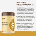 myfitfuel-salmon-fish-oil-1000mg-180-epa-61FgeMABdzL.jpg