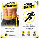 fat-burner-weight-management-supplements-71p3UWqQruL.jpg
