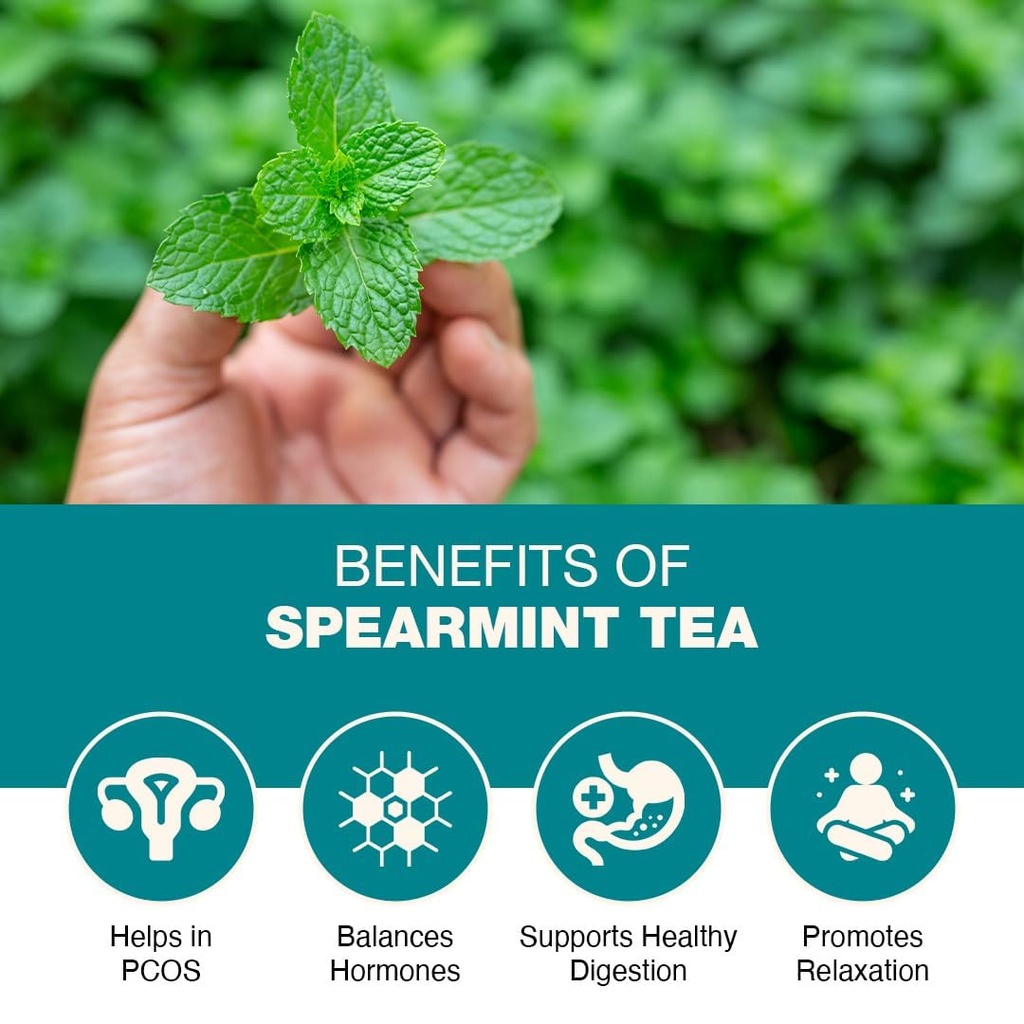 spearmint-tea-hormonal-imbalance-weight--61F09eP9BtL.jpg