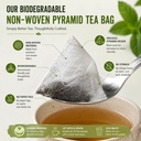 spearmint-tea-pyramid-tea-pcos-relief-ba-71FYoKEzLjL.jpg