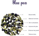 butterfly-pea-flower-tea-healthy-skin-re-615jsKq4qVL.jpg