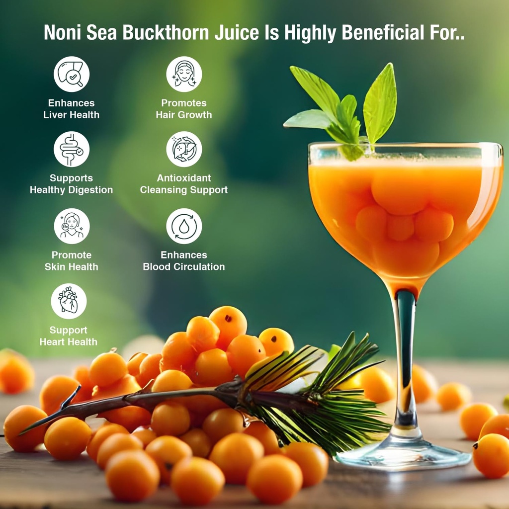 apollo-noni-sea-buckthorn-juice-concentr-71qBHusahtL.jpg