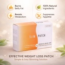 slim-patch-for-navel-application-10-patc-61xlHtRtSUL.jpg