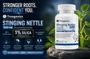 trexgenics-stinging-nettle-1-natural-sil-71-wDNtkgSL.jpg