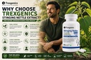 trexgenics-stinging-nettle-1-natural-sil-814dZpNMWtL.jpg