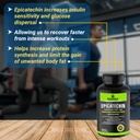 greendorse-epicatechin-99-purity-workout-61cMtFZHfKL.jpg