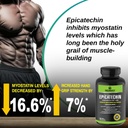 greendorse-epicatechin-99-purity-workout-616h4D86RqL.jpg
