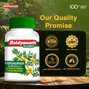 baidyanath-gokshuradi-guggulu-80-tablets-71OPc1E0K8L.jpg