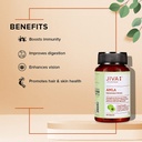 jiva-amla-tablets-500mg-240-tablets-herb-61lst+cOEwS.jpg