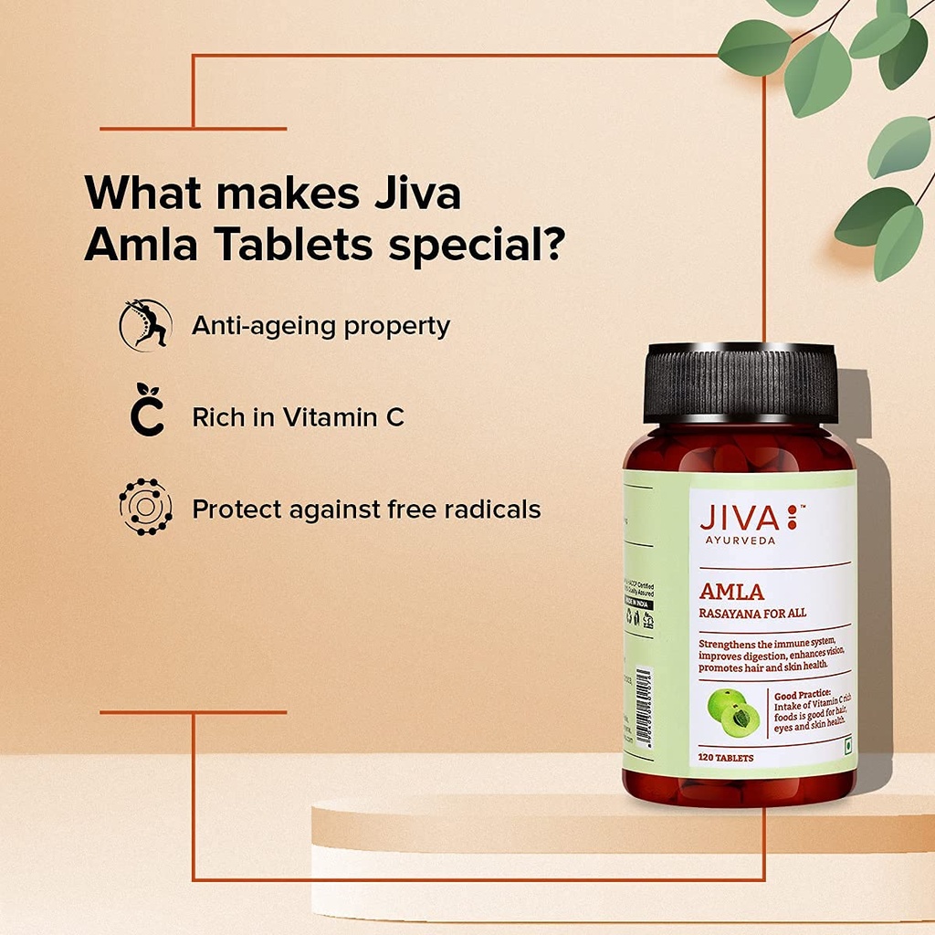 jiva-amla-tablets-500mg-240-tablets-herb-71NKY65WjSS.jpg