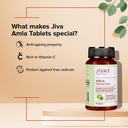 jiva-amla-tablets-500mg-240-tablets-herb-71NKY65WjSS.jpg