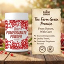 natural-organic-anar-powder-no-added-che-61wWvGgaFqL.jpg