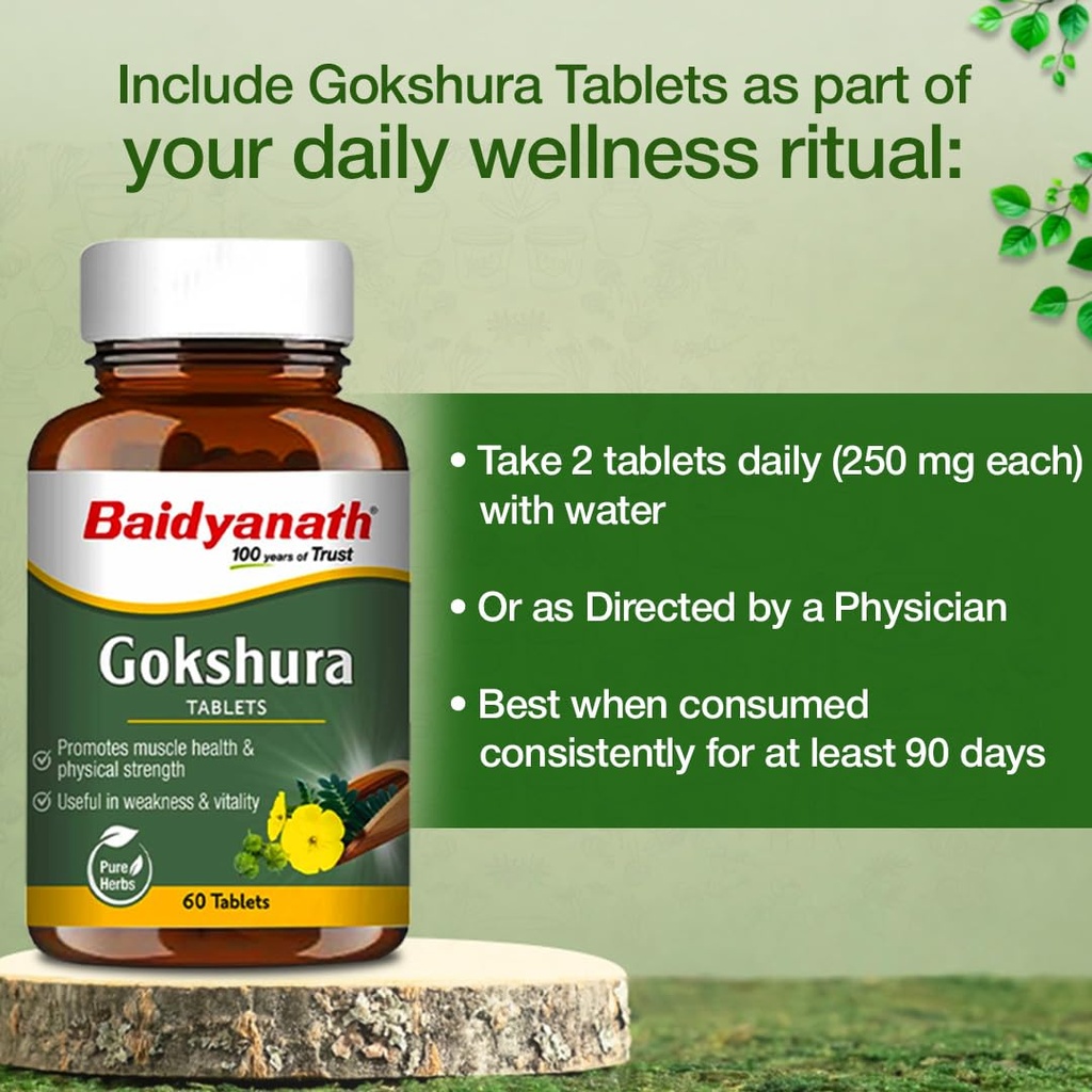 baidyanath-ayurved-gokshura-60-tablets-s-61RCA9IEEML.jpg