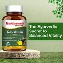 baidyanath-ayurved-gokshura-60-tablets-s-61h4Z5Ci9mL.jpg