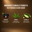 dabur-jamun-neem-karela-juice-1l-helps-c-71+uyLIWiuL.jpg