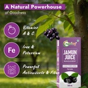 nutriorg-jamun-juice-500-ml-pure-jamun-j-71cD3nTLY3L.jpg