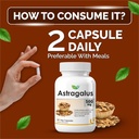 biotrex-nutraceuticals-astragalus-500mg--81v-vVX--9L.jpg