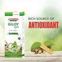 baidyanath-asli-ayurved-jhansi-giloy-jui-710DzUSDbTS.jpg