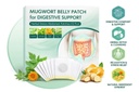 mugwort-belly-patch-for-detox-digestive--61BCYmDtEwL.jpg