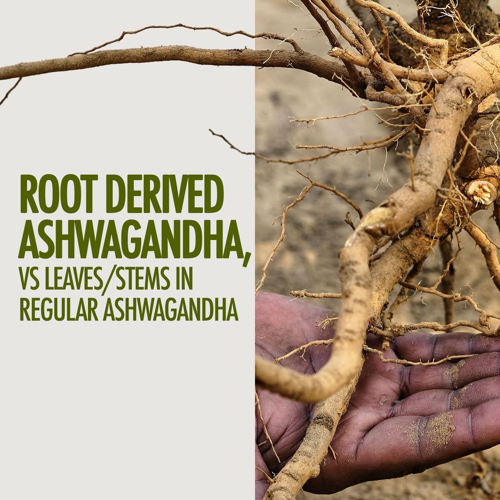 kapiva-ashwagandha-gold-capsules-183rd-d-81ooc-OcOYL.jpg