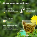 woolah-rare-assam-green-tea-with-tulsi-b-71nvCCM2LBL.jpg