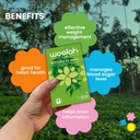 woolah-rare-assam-green-tea-with-tulsi-b-718BNmG1GrL.jpg