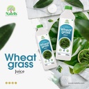 natells-fat-loss-and-wheatgrass-juice-co-71YDDTYp4EL.jpg