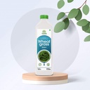 natells-fat-loss-and-wheatgrass-juice-co-51lFsQHt7iL.jpg