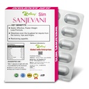 sanjevani-medicine-burns-fat-without-die-611NHbriEzL.jpg