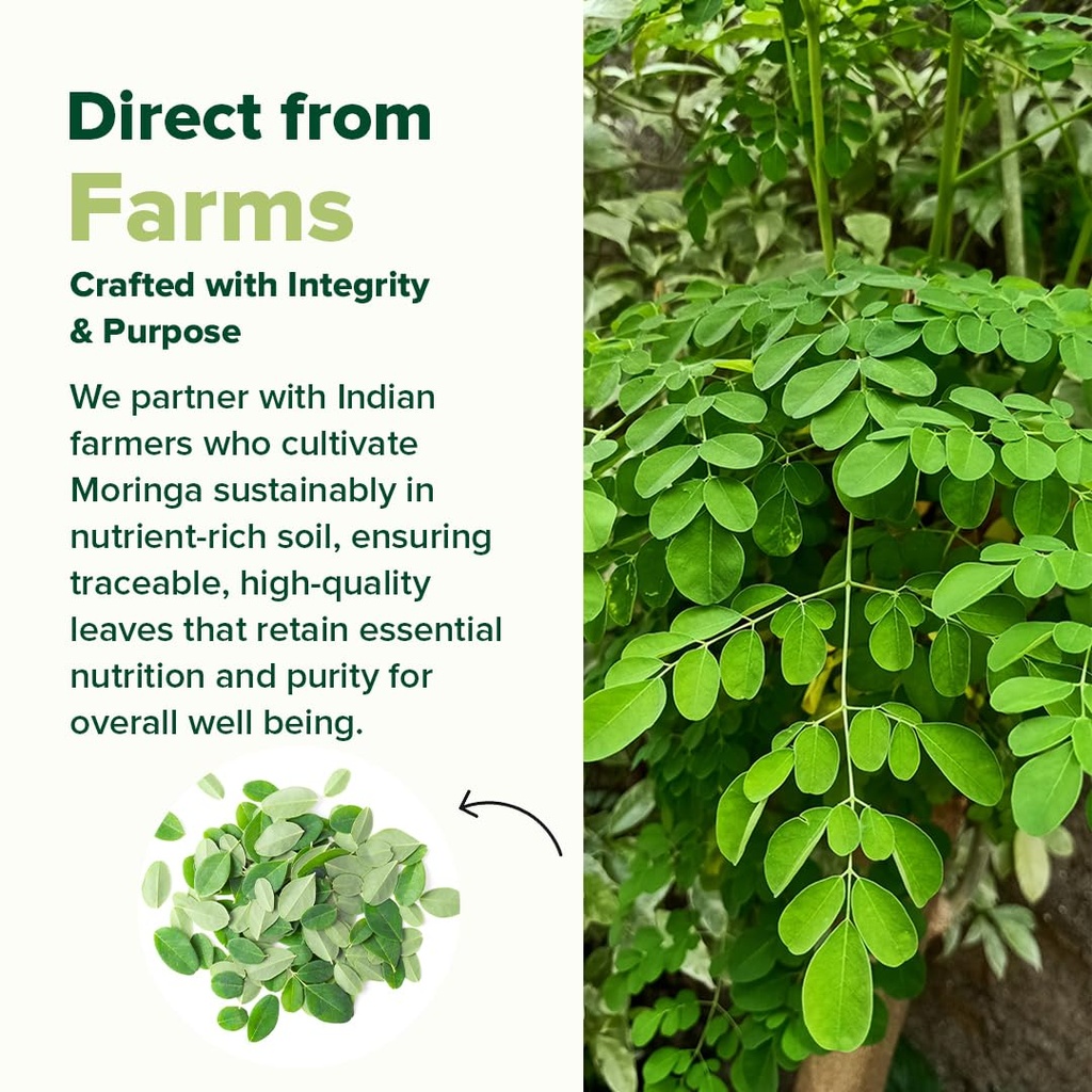 vahdam-moringa-capsules-energy-immunity--71LEqqkHcTL.jpg