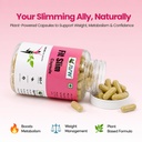 avw-fit-slim-60-herbal-capsules-500mg-we-61QADYFoZXL.jpg