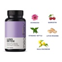 meadbery-lung-detox-100-ayurvedic-lungs--81+dk6Zks7L.jpg