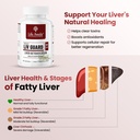 life-aveda-liv-guard-for-fatty-liver-and-71LsVUEUKvL.jpg