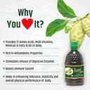 aplomb-noni-juice-500-ml-antioxidant-ric-81lJ+lPbO0L.jpg