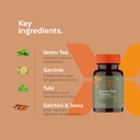 akayu-green-tea-tablets-with-tulsi-dalch-61+qiarUXzL.jpg