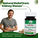 ayurvedic-capsules-herbal-support-for-ki-71yHtwmqR0L.jpg