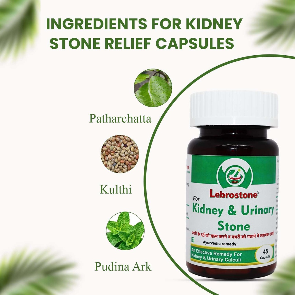 ayurvedic-capsules-herbal-support-for-ki-71700Doy1WL.jpg