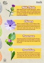 liver-wellness-natural-liver-detox-suppo-81RaAahQn0L.jpg