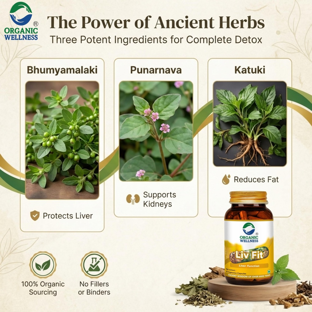 organic-wellness-natural-liv-fit-supplem-81bP6HbsLuL.jpg