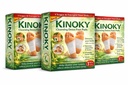 kinoky-bee-venom-detox-foot-patches-prem-71TtXBKrRSL.jpg