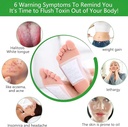 kinoki-detox-foot-pads-ginger-salt-adhes-71xFGCXCSIL.jpg
