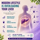 l-omaya-livtox-liver-detox-supplement-wi-71LJcnEBysL.jpg