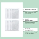 herbal-and-gentle-ingredient-foot-pads-n-51gq2TKrhCL.jpg