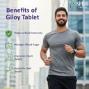giloy-tablets-120-veg-tablets-guduchi-gi-61OndCmQ1VL.jpg