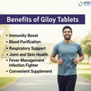 giloy-tablets-120-veg-tablets-guduchi-gi-61UfNmU71WL.jpg