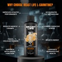 beastlife-l-carnitine-liquid-1100mg-oran-6132QjtrF0L.jpg